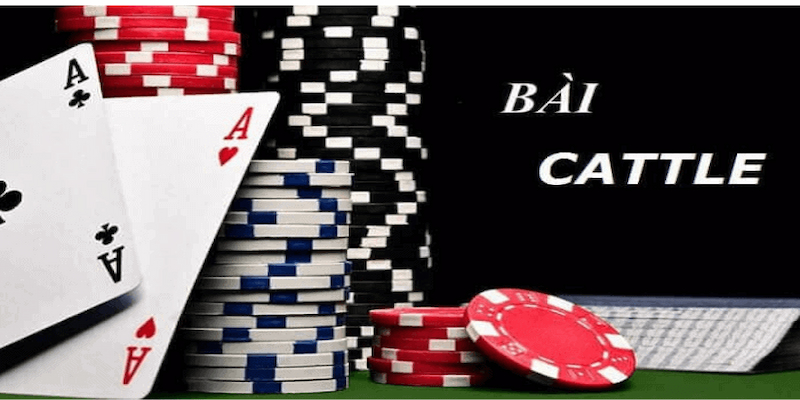 Hướng dẫn chi tiết cách chơi bài cát tê tại khin789